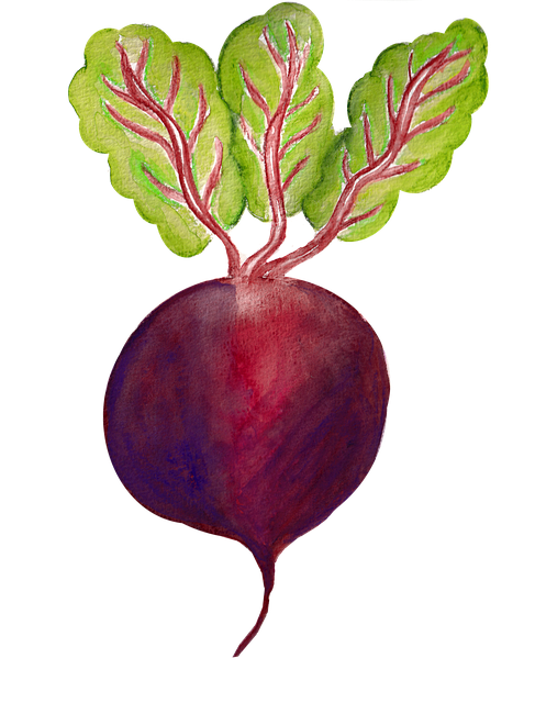 beet-gf53e094b6_640