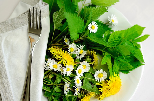 herbs-gc6b26e698_640