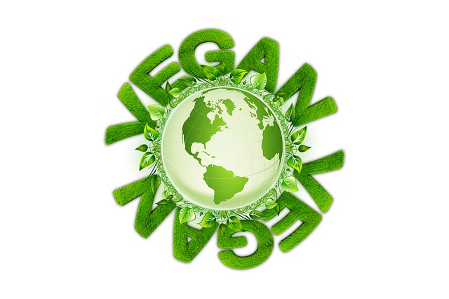 vegan-g035971cf6_640
