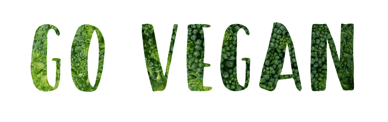 vegan-ge0bbd6bb7_1280